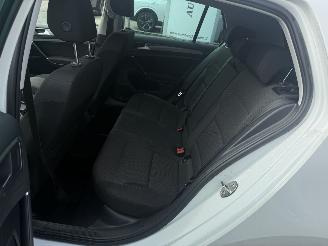 Volkswagen e-Golf E-golf picture 10