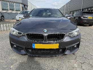 BMW 4-serie Gran Coupé 420i Executive picture 2