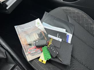 Skoda Kamiq 1.0 TSI Ambition picture 20