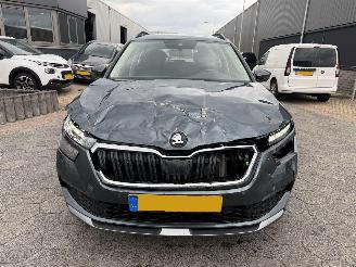 Skoda Kamiq 1.0 TSI Ambition picture 2
