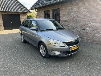 Schadeauto Skoda Fabia 1.2 TSI FRESH AIRCO ( KM 51.965) 2013/5