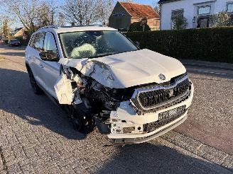 Damaged car Skoda Kodiaq 1.5 TSi 2022/4