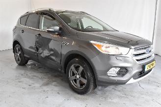 Damaged car Ford Kuga 1.5 EcoB. ST Line 2017/4