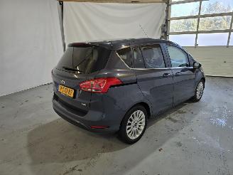 Ford B-Max 1.0 EcoB. Titanium picture 7
