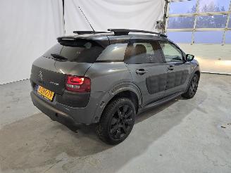Citroën C4 cactus 1.2 PureTech Shine picture 7