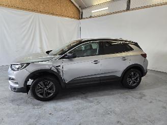 Opel Grandland X picture 4