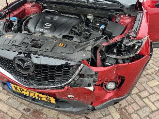 Mazda CX-5 2.0 S 2WD picture 12