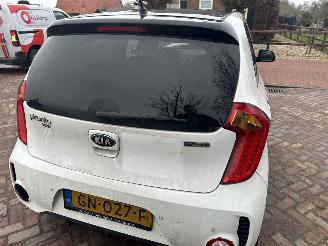 Damaged car Kia Picanto 1.2 CVVT SportsLine 2015/11
