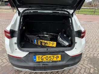 Opel Grandland X 1.2 Turbo Business Executive picture 9
