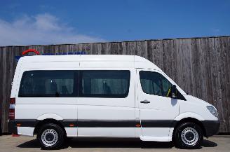 Mercedes Sprinter 313 CDi L2H2 Rolstoel Flexi-Trans Airco 95KW Euro 5 picture 6
