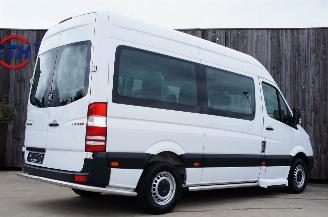 Mercedes Sprinter 313 CDi Rolstoellift Elektrische deur Triflex Air 95KW Euro 5 picture 3