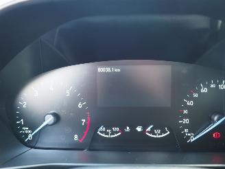 Ford Focus 1.0 EcoBoost Hybrid ST Line picture 28