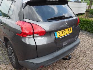 Peugeot 2008 1.2 Vti Active Pack Premium picture 11