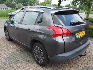 Peugeot 2008 1.2 Vti Active Pack Premium picture 6
