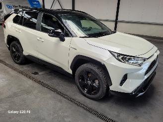 damaged passenger cars Toyota Rav-4 Hybrid 2.5 131-KW Automaat AWD 2019/8
