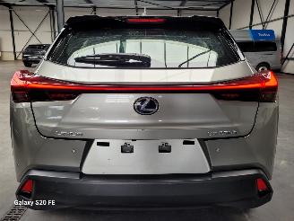 Lexus UX 250h Hybrid 2.0 112-KW Automaat Luxury picture 13