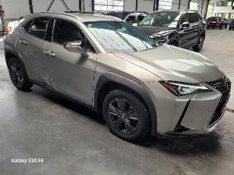 Lexus UX 250h Hybrid 2.0 112-KW Automaat Luxury picture 8