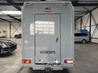 Opel Movano Horsetruck 2.3 CDTi 120-KW 6-Bak AKX picture 13