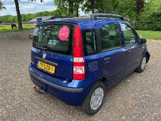 Fiat Panda 1.2 edizione cool picture 2