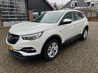 Avarii autoturisme Opel Grandland 1.2 Turbo Business + 2019/3