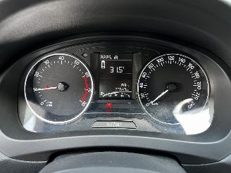 Skoda Rapid 1.2TSI picture 17