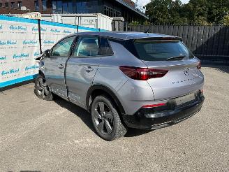 Opel Grandland (X) 1.2 Turbo (96kW) GS picture 3