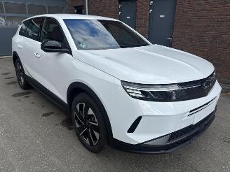 Opel Grandland (X) Edition Hybrid (107kW) picture 2