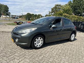 Avarii autoturisme Peugeot 207 1.4 VTi X-Line 2010/3