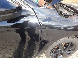 Opel Corsa GS 100kw Hybrid, Leder/alcantara, Climate& Cruise, Navi, Lane assist picture 15