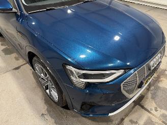 Audi E-tron 71kWh 230kW Quattro 50 Launch Edition Plus picture 17