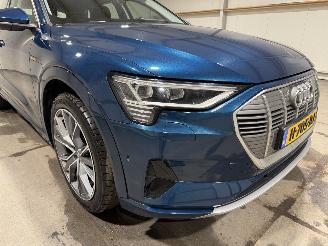 Audi E-tron 71kWh 230kW Quattro 50 Launch Edition Plus picture 20