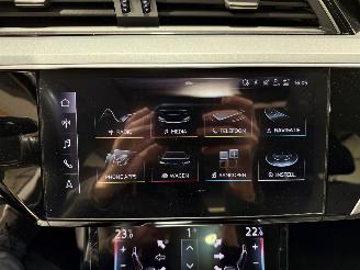 Audi E-tron 71kWh 230kW Quattro 50 Launch Edition Plus picture 25