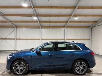 Audi E-tron 71kWh 230kW Quattro 50 Launch Edition Plus picture 8