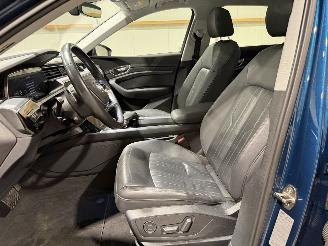 Audi E-tron 71kWh 230kW Quattro 50 Launch Edition Plus picture 23