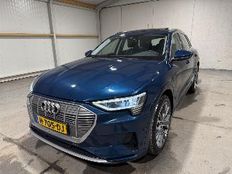 Audi E-tron 71kWh 230kW Quattro 50 Launch Edition Plus picture 10