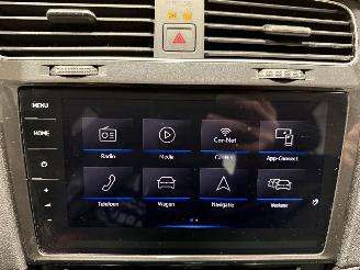 Volkswagen e-Golf 36kWh 100kW Camera Matrixled picture 26