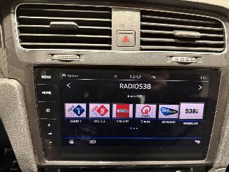 Volkswagen e-Golf 36kWh 100kW Camera Matrixled picture 27