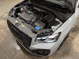 Audi Q2 35TFSI 110kW Automaat S Edition Pano picture 39