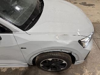 Audi Q2 35TFSI 110kW Automaat S Edition Pano picture 18