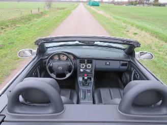 Mercedes SLK 200 SLK Cabrio  232.000km Nap  topstaat  parkeerschade picture 19