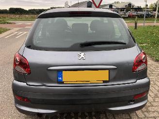 Peugeot 206+ 206 + 1.4 XS picture 6
