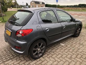 Peugeot 206+ 206 + 1.4 XS picture 5