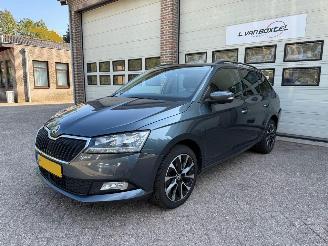 Schadeauto Skoda Fabia 1.0 TSI Business Edition Navi Clima Cruise NAP 2020/3