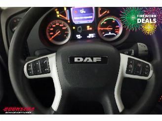 DAF XF 480 FTG Hydrauliek 6X2 Euro 6 picture 23