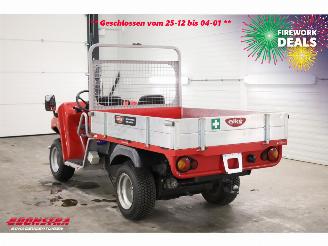   ATX 200e Kipper 2.839 Hrs BY 2018 Gator ATV Electric picture 6