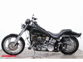 Harley-Davidson  FLSTF Fat Boy picture 5