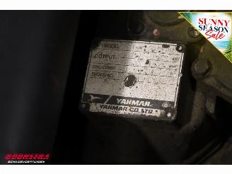   C6 Compact BY 2012 Rupshijskraan Raupenkran picture 20