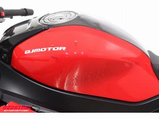   SRK 800 RR ABS LED Bluetooth picture 19