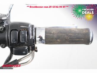 Harley-Davidson  FLSTC Heritage Softail Classic Python BY 2008 picture 21