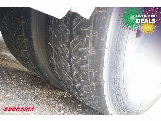 MAN TGS 18.320 Full Air LBW Dhollandia Camera Navi picture 41